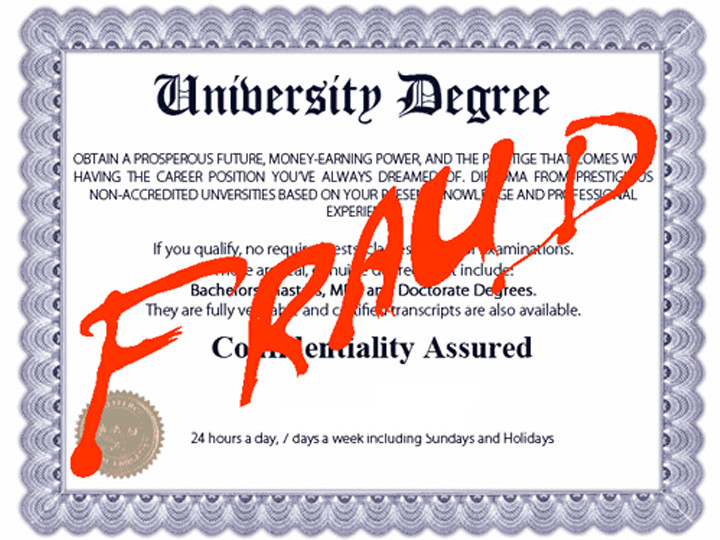 Verification Fraud Analysis